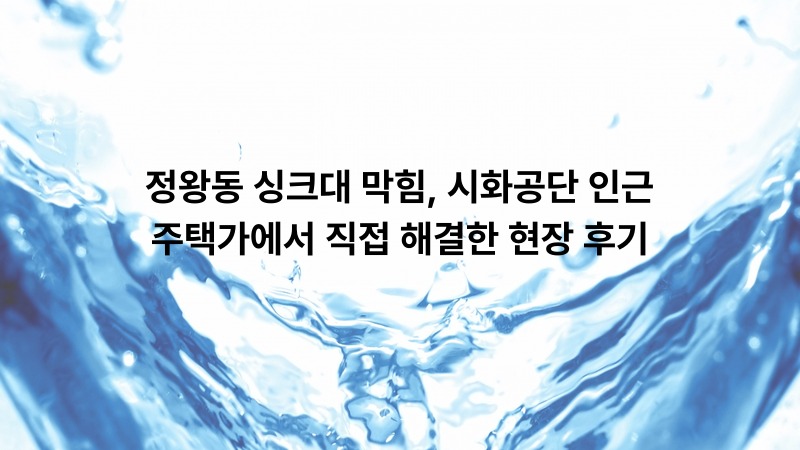 정왕동 싱크대 막힘, 시화공단 인근 주택가에서 직접 해결한 현장 후기