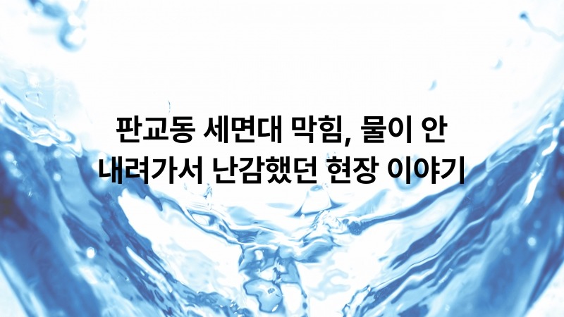 판교동 세면대 막힘, 물이 안 내려가서 난감했던 현장 이야기