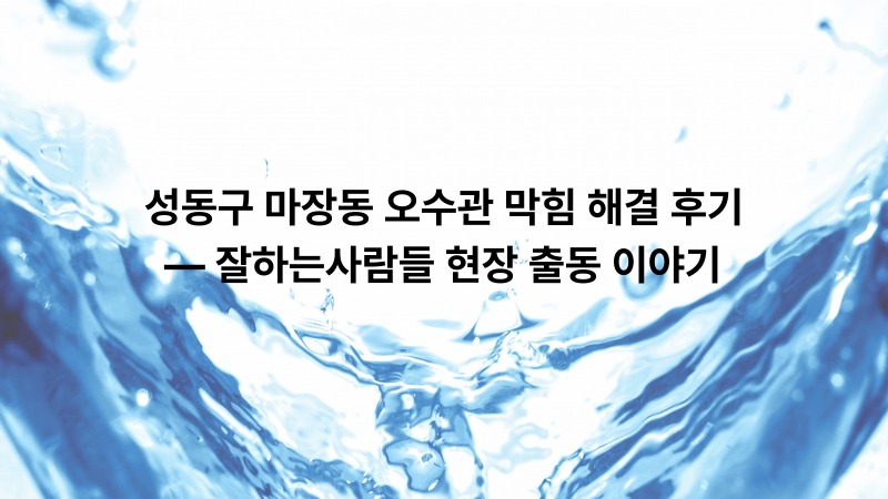 성동구 마장동 오수관 막힘 해결 후기 — 잘하는사람들 현장 출동 이야기