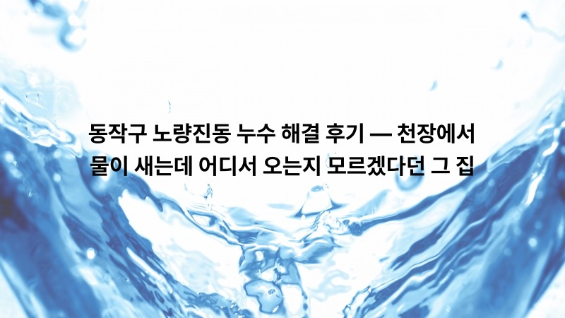 동작구 노량진동 누수 해결 후기 — 천장에서 물이 새는데 어디서 오는지 모르겠다던 그 집