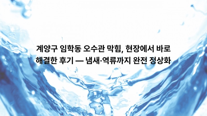 계양구 임학동 오수관 막힘, 현장에서 바로 해결한 후기 — 냄새·역류까지 완전 정상화