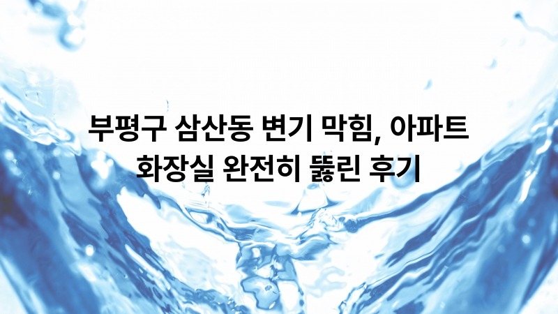 부평구 삼산동 변기 막힘, 아파트 화장실 완전히 뚫린 후기
