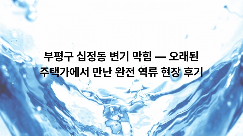 부평구 십정동 변기 막힘 — 오래된 주택가에서 만난 완전 역류 현장 후기