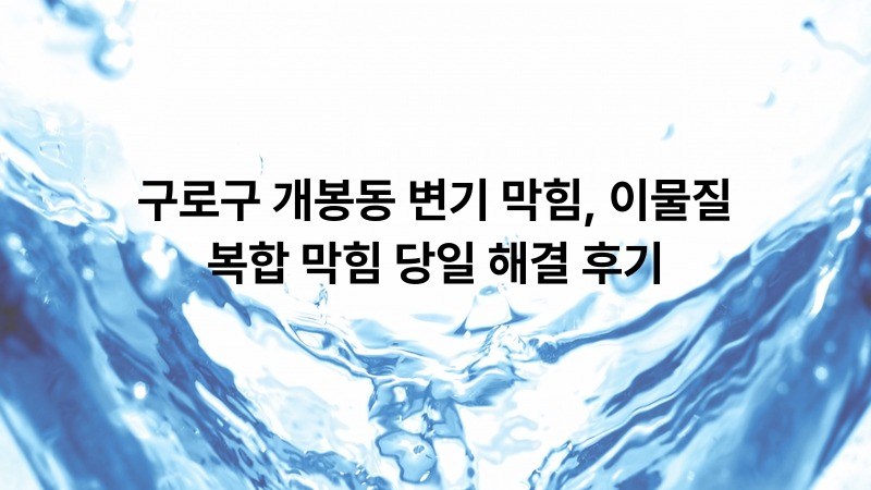 구로구 개봉동 변기 막힘, 이물질 복합 막힘 당일 해결 후기